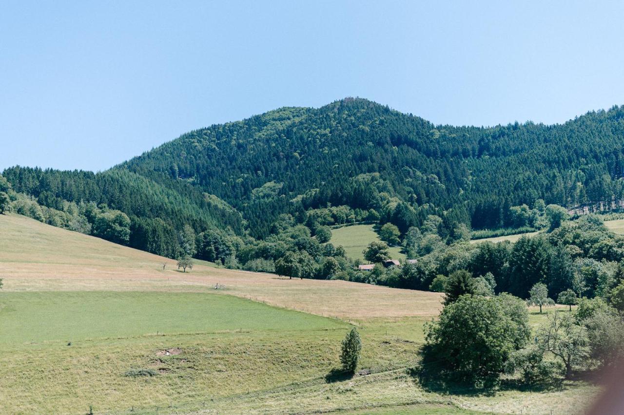 Rustikale 3 Zi.-Fewo Naehe Freiburg 70Qm Simonswald Exterior foto
